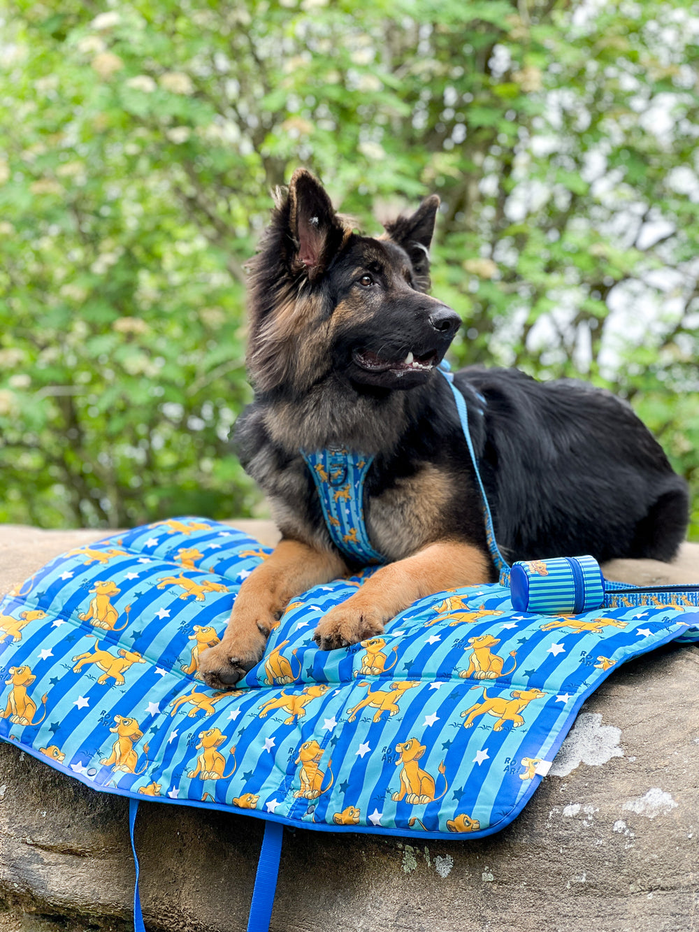 Disney© Travel Mat - Simba