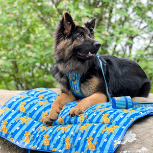 Disney© Travel Mat - Simba