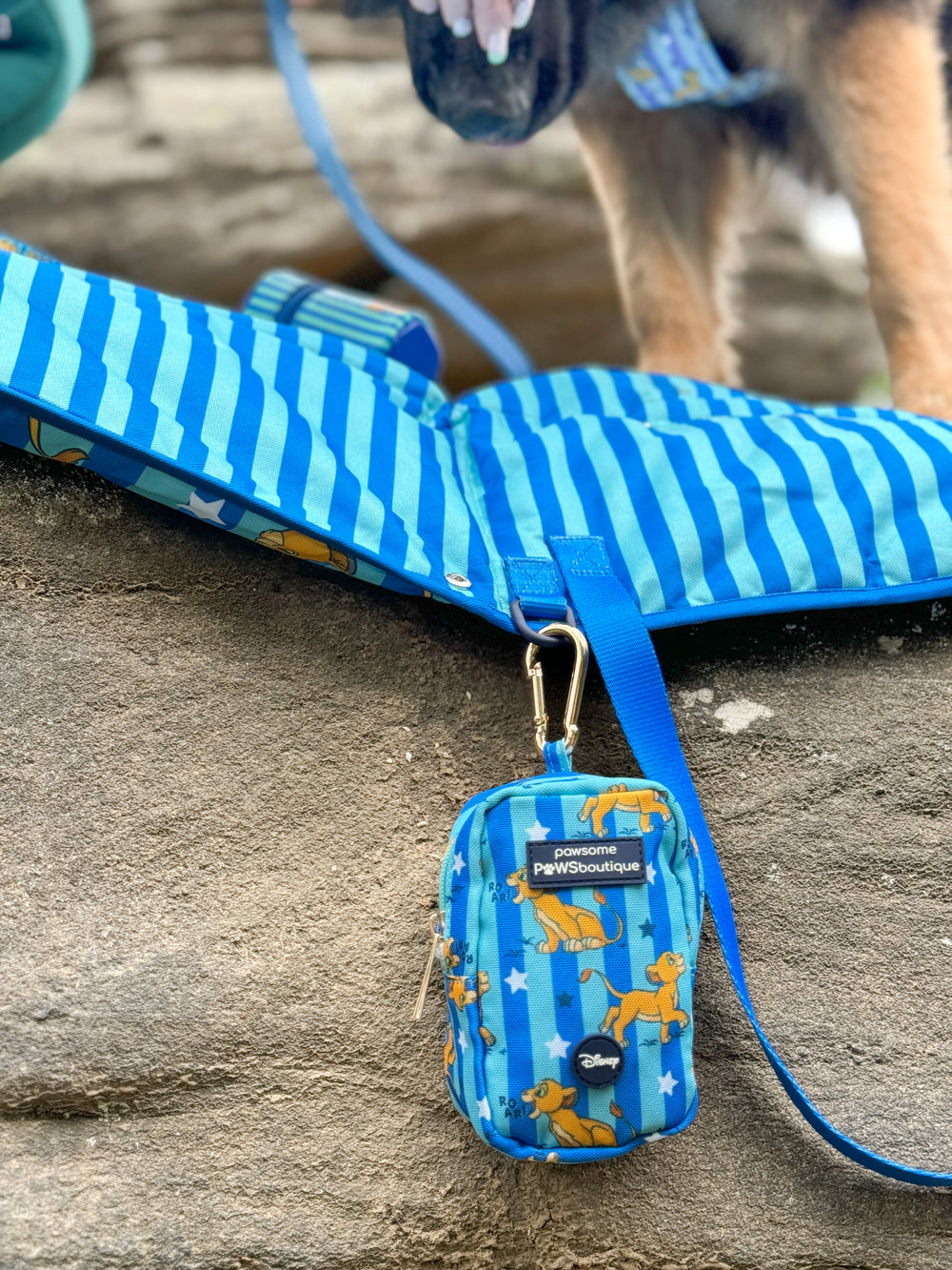 Disney© Treat + Go Bag - Simba