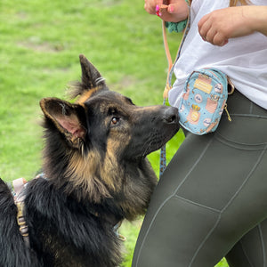 Disney© Treat + Go Bag - Lion Friends