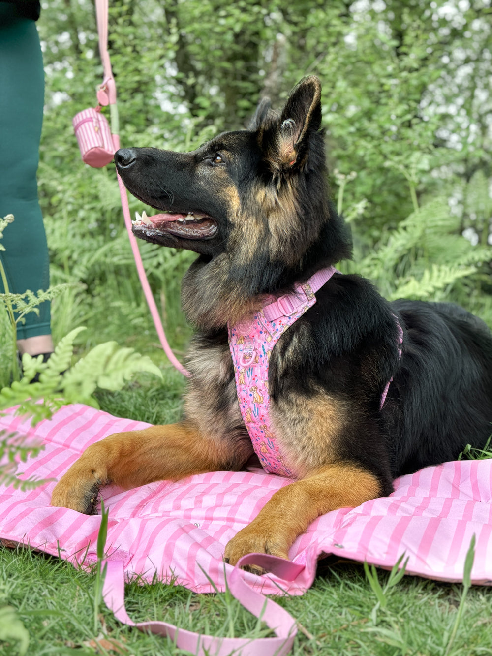 Disney© Travel Mat - Nala