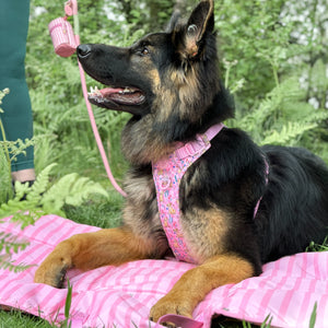 Disney© Travel Mat - Nala