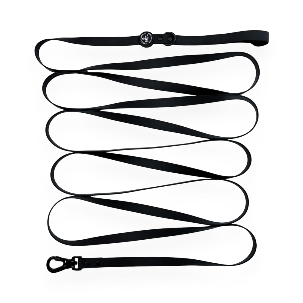 5m Waterproof Long Line Lead - Walkies Ready® Black