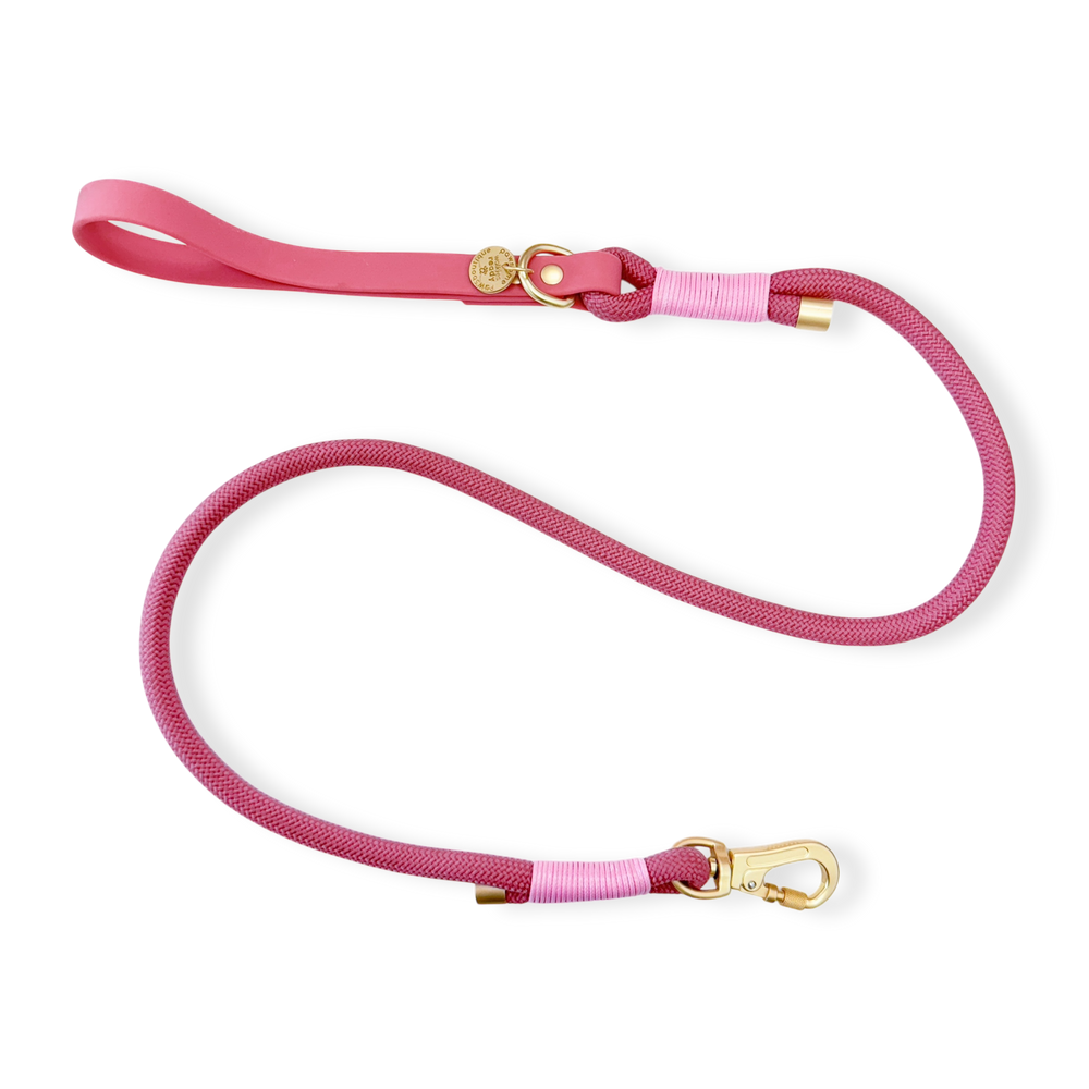 4ft Rope Lead - Pretty Pink
