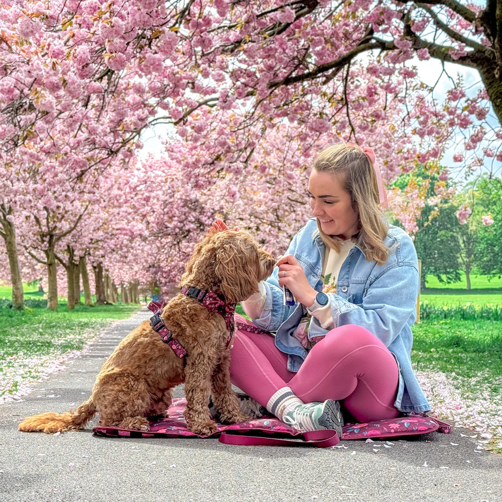 Travel Mat - Mable's Meadow