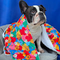 Disney© Dog Blanket - Winnie Goes Retro