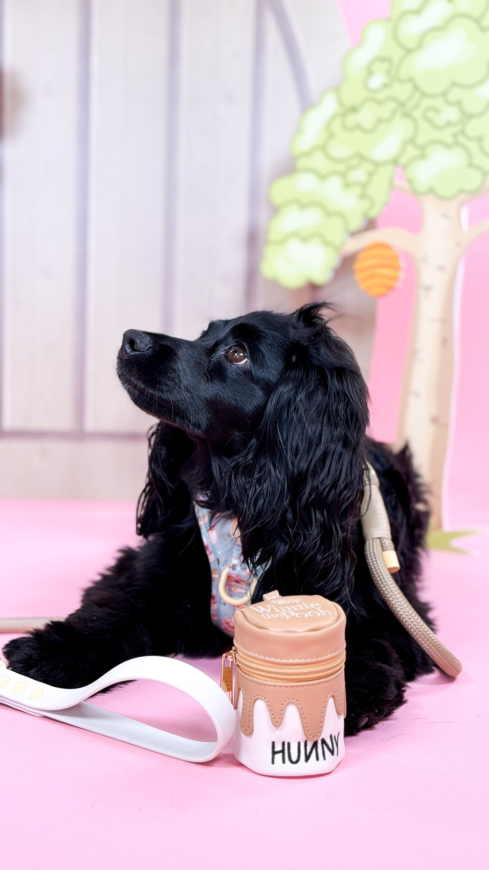 Disney© Treat Pouch - Hunny Pot