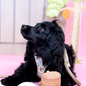 Disney© Treat Pouch - Hunny Pot