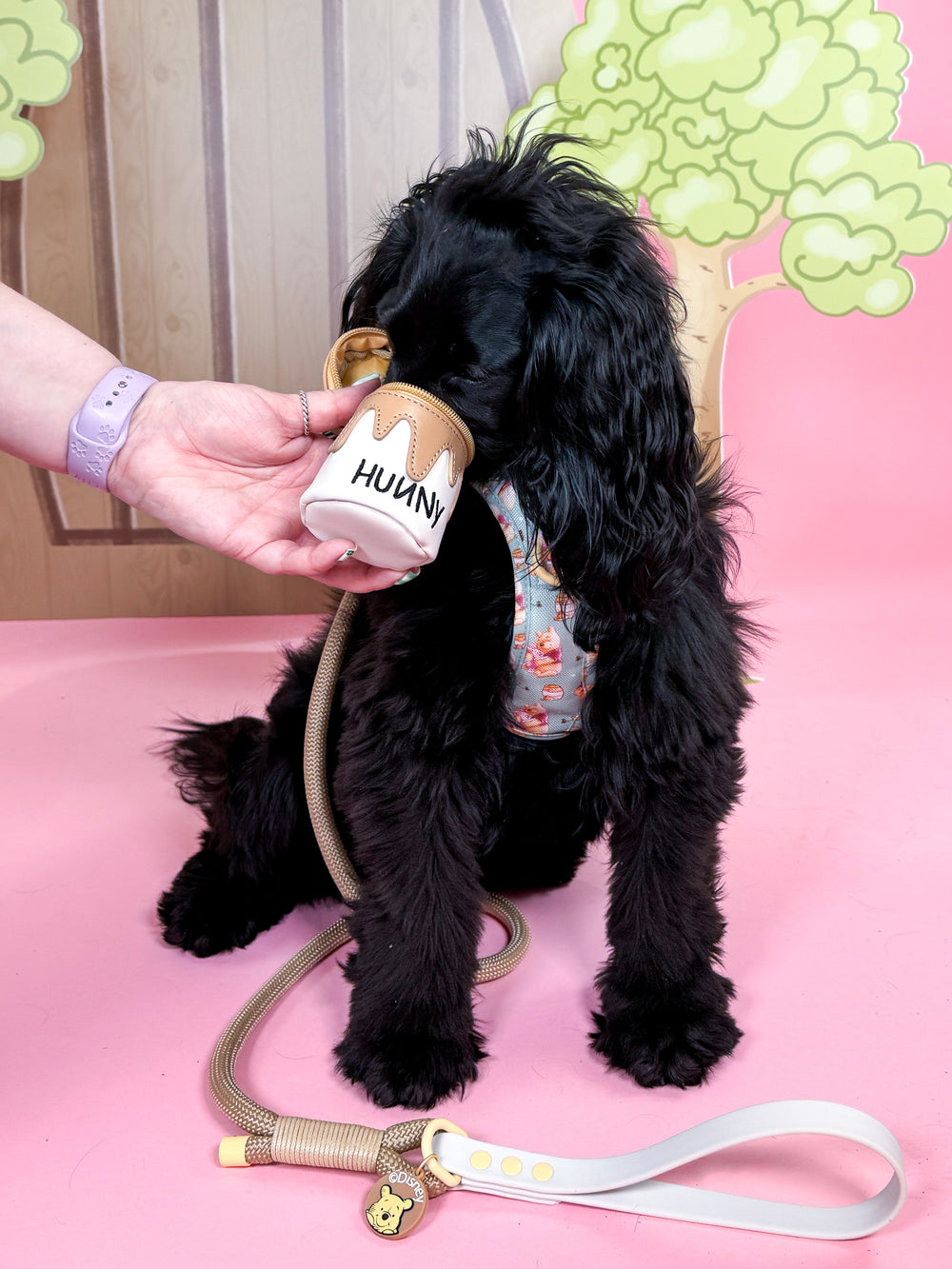 Disney© Treat Pouch - Hunny Pot