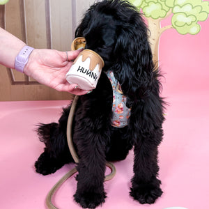 Disney© Treat Pouch - Hunny Pot