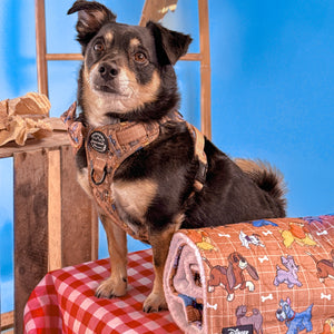 Disney© Dog Blanket - Disney Dogs