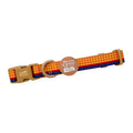 Woody Ultimate Bundle