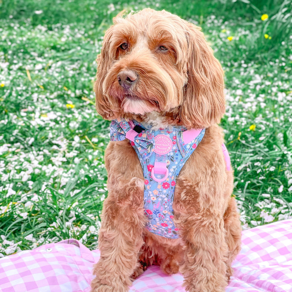 Bow Tie - Whimsical Wildflowers