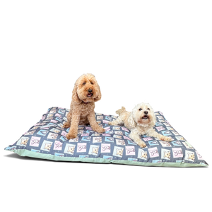 Disney© Deep Duvet Dog Bed - Winnie + Friends