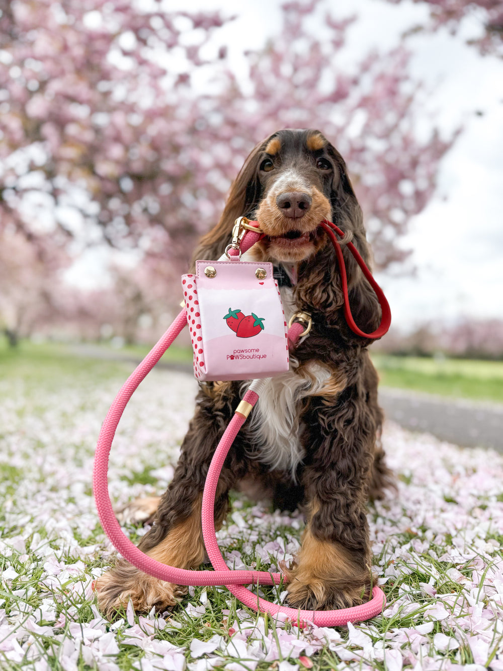 4ft Rope Lead - Red + Pink