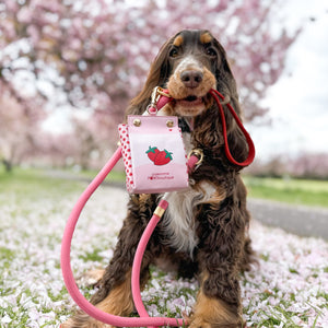 4ft Rope Lead - Red + Pink