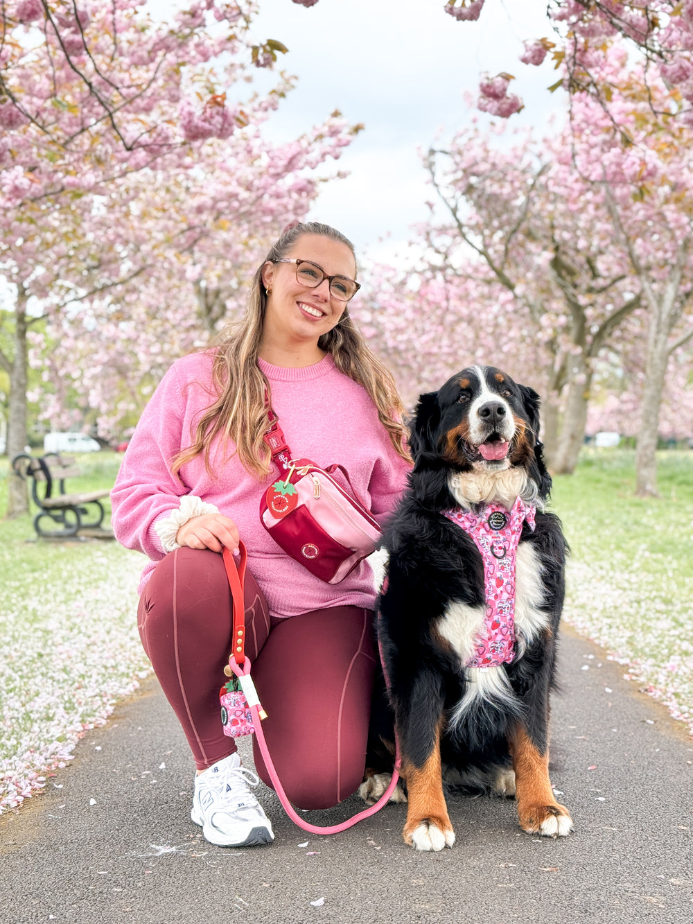 4ft Rope Lead - Red + Pink