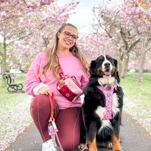 4ft Rope Lead - Red + Pink