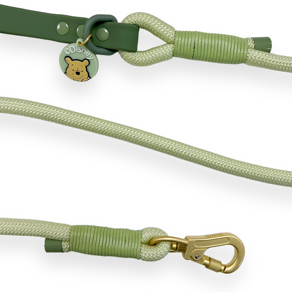 Disney© 4ft Rope Lead - 100 Aker Wood - Light and Dark Green