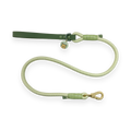 Disney© 4ft Rope Lead - 100 Aker Wood - Light and Dark Green