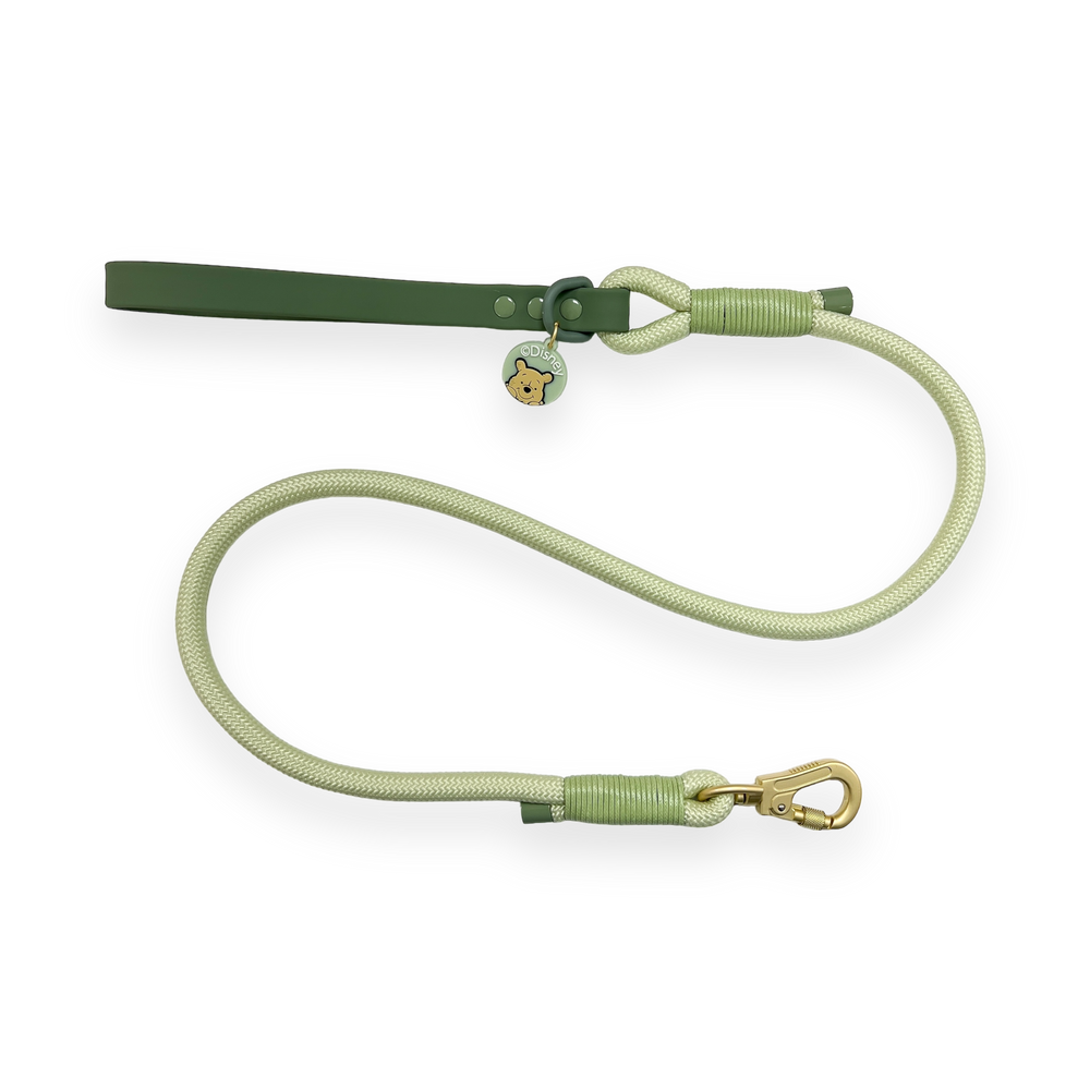 Disney© 4ft Rope Lead - 100 Aker Wood - Light and Dark Green