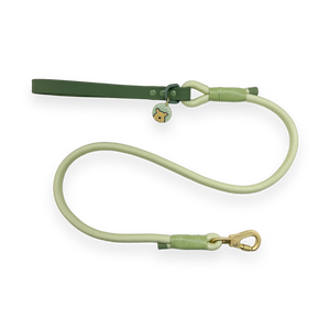 Disney© 4ft Rope Lead - 100 Aker Wood - Light and Dark Green