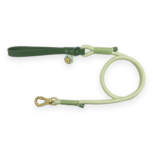 Disney© 4ft Rope Lead - 100 Aker Wood - Light and Dark Green