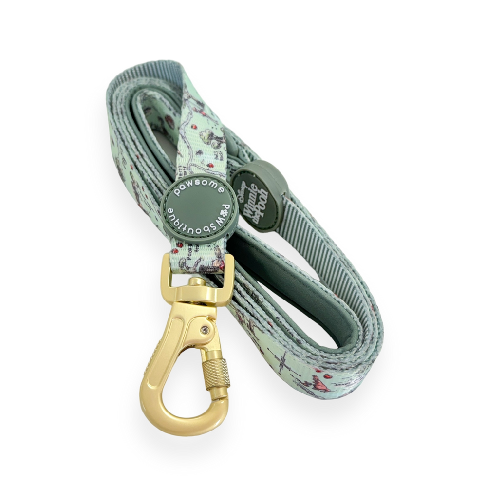 Disney© Lead - 100 Aker Wood