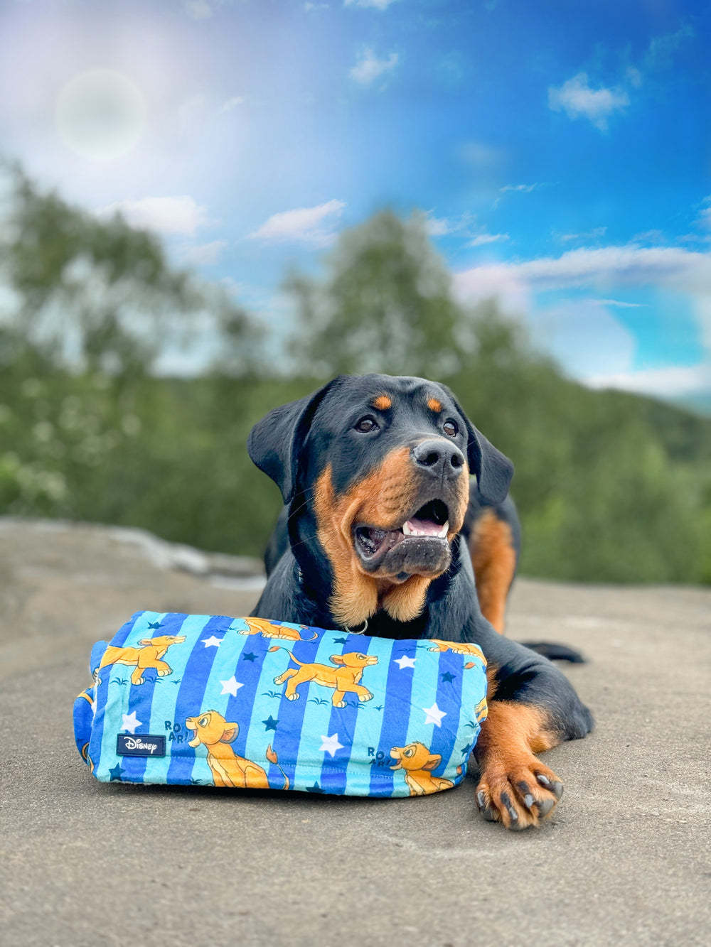 Disney© Dog Blanket - Simba