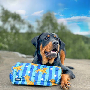 Disney© Dog Blanket - Simba