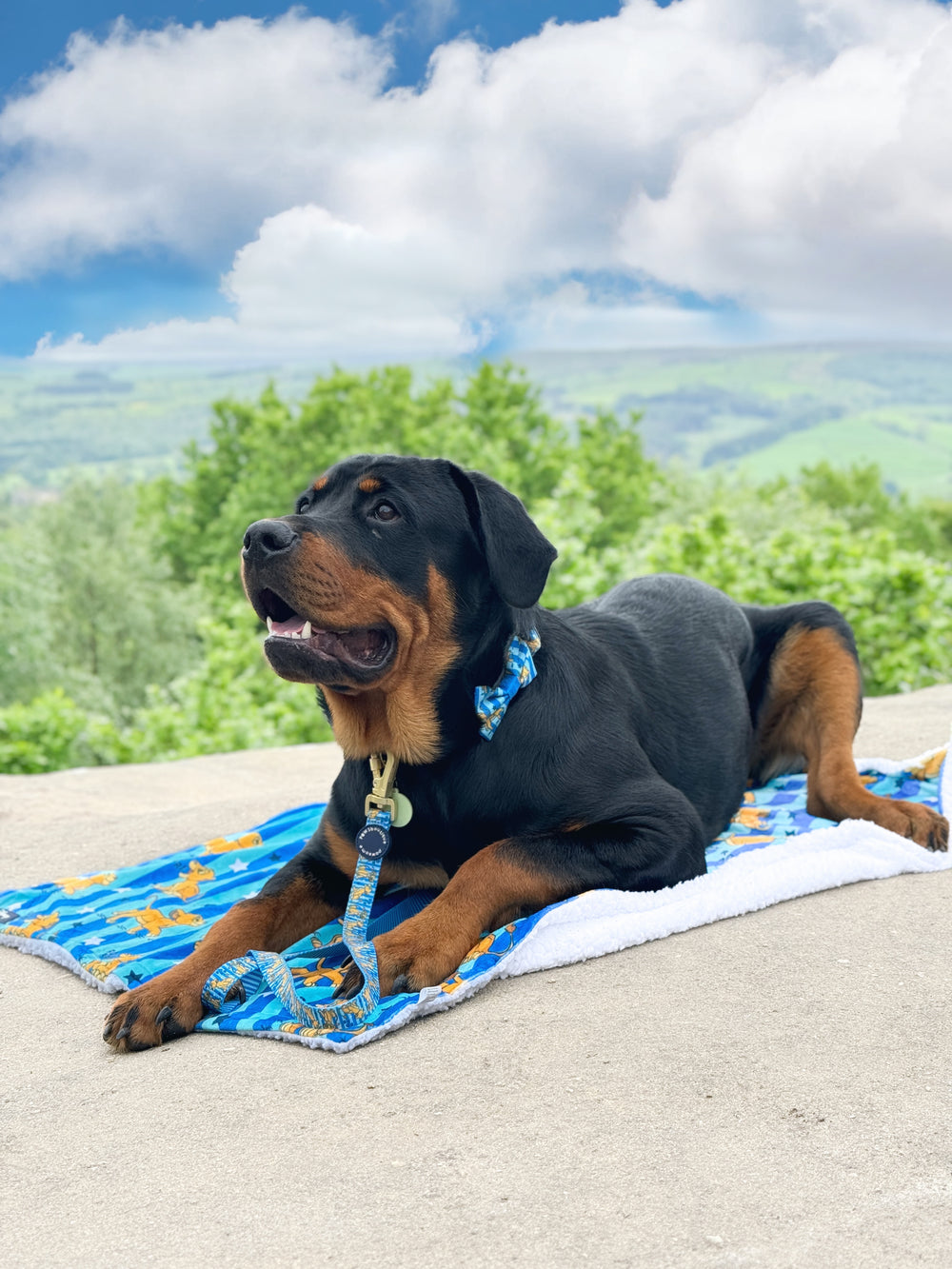 Disney© Dog Blanket - Simba