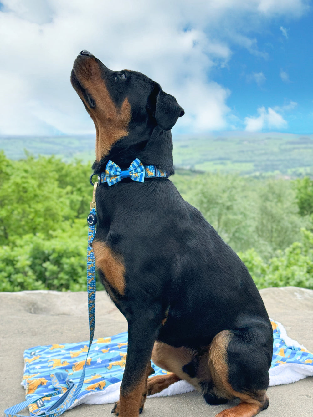 Disney© Bow Tie - Simba