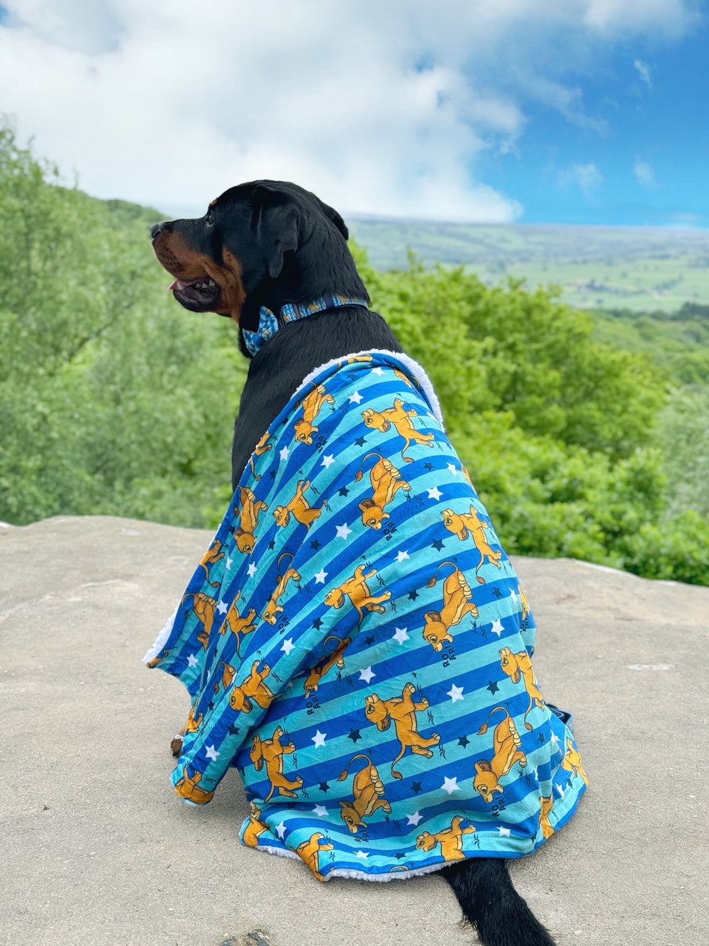 Disney© Dog Blanket - Simba