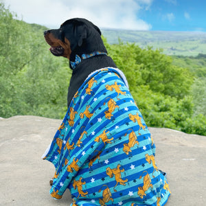 Disney© Dog Blanket - Simba