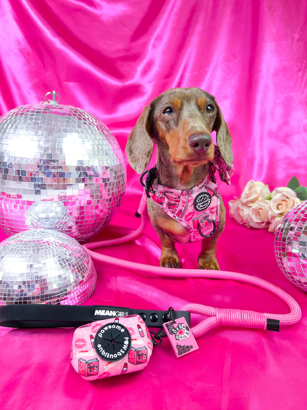 4ft Rope Lead - Mean Girls - Pink and Black