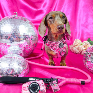 4ft Rope Lead - Mean Girls - Pink and Black