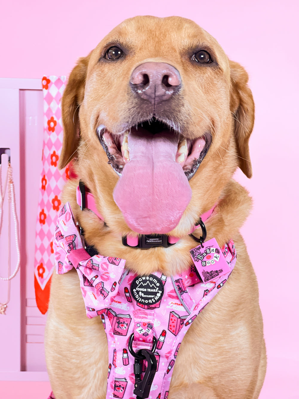 Waterproof Collar - Mean Girls