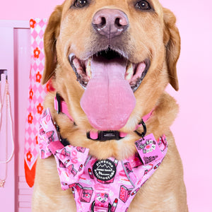 Waterproof Collar - Mean Girls