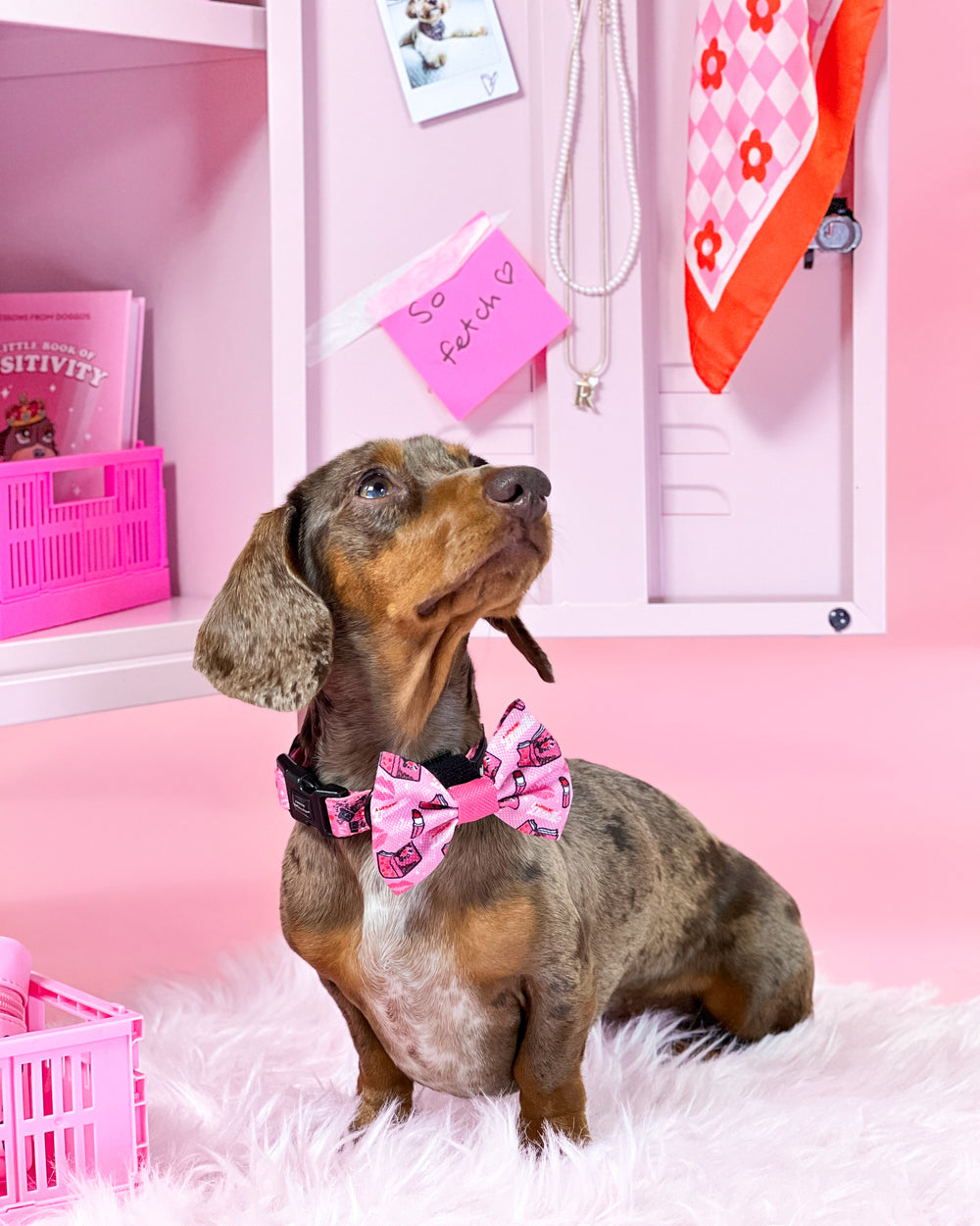 Bow Tie - Mean Girls