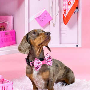 Bow Tie - Mean Girls