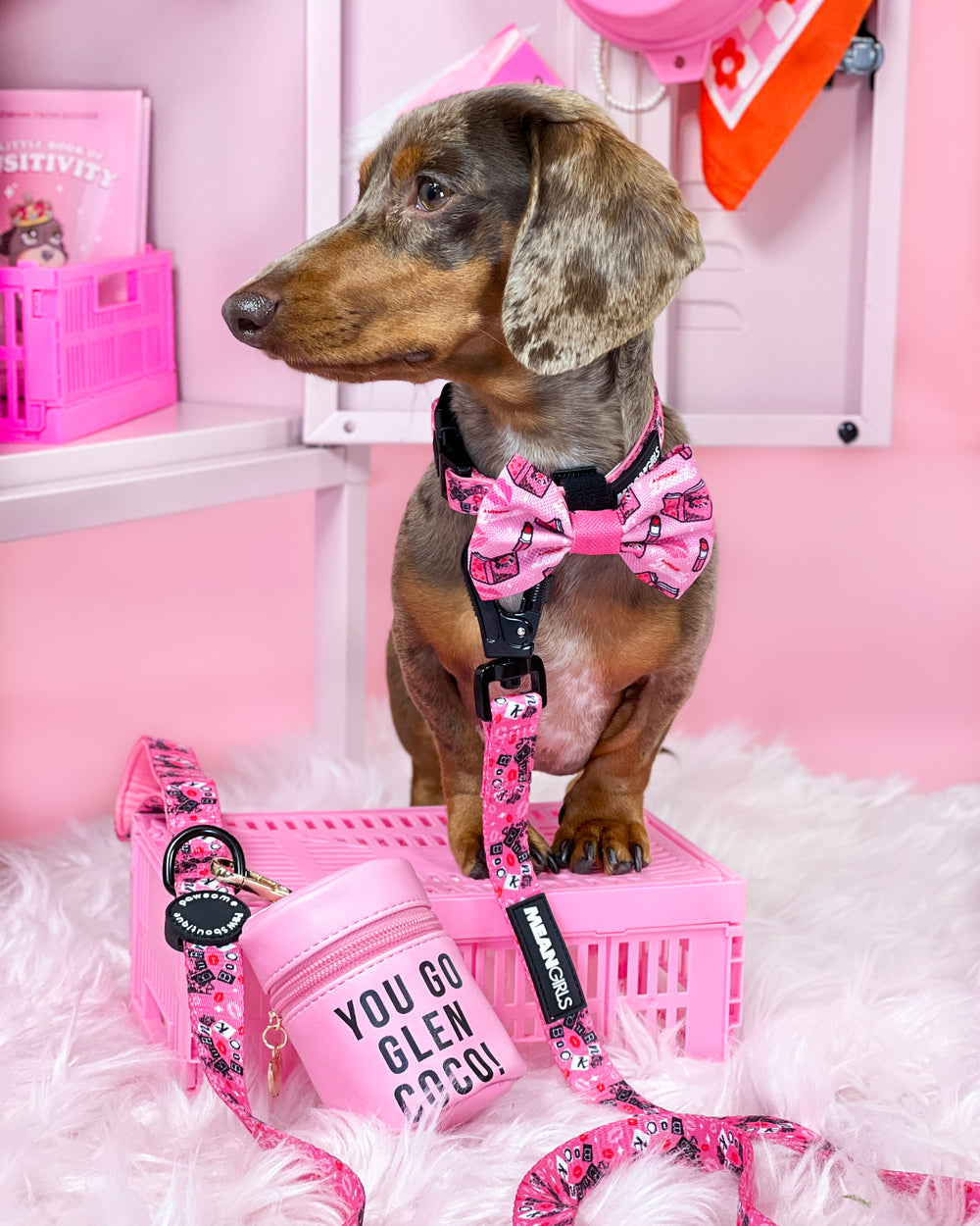 Treat Pouch - Mean Girls