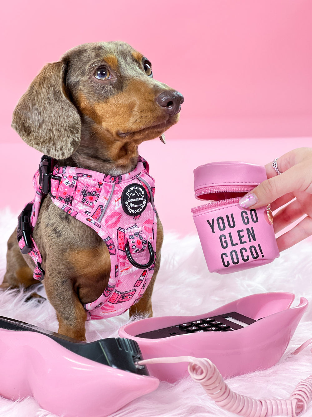 Treat Pouch - Mean Girls