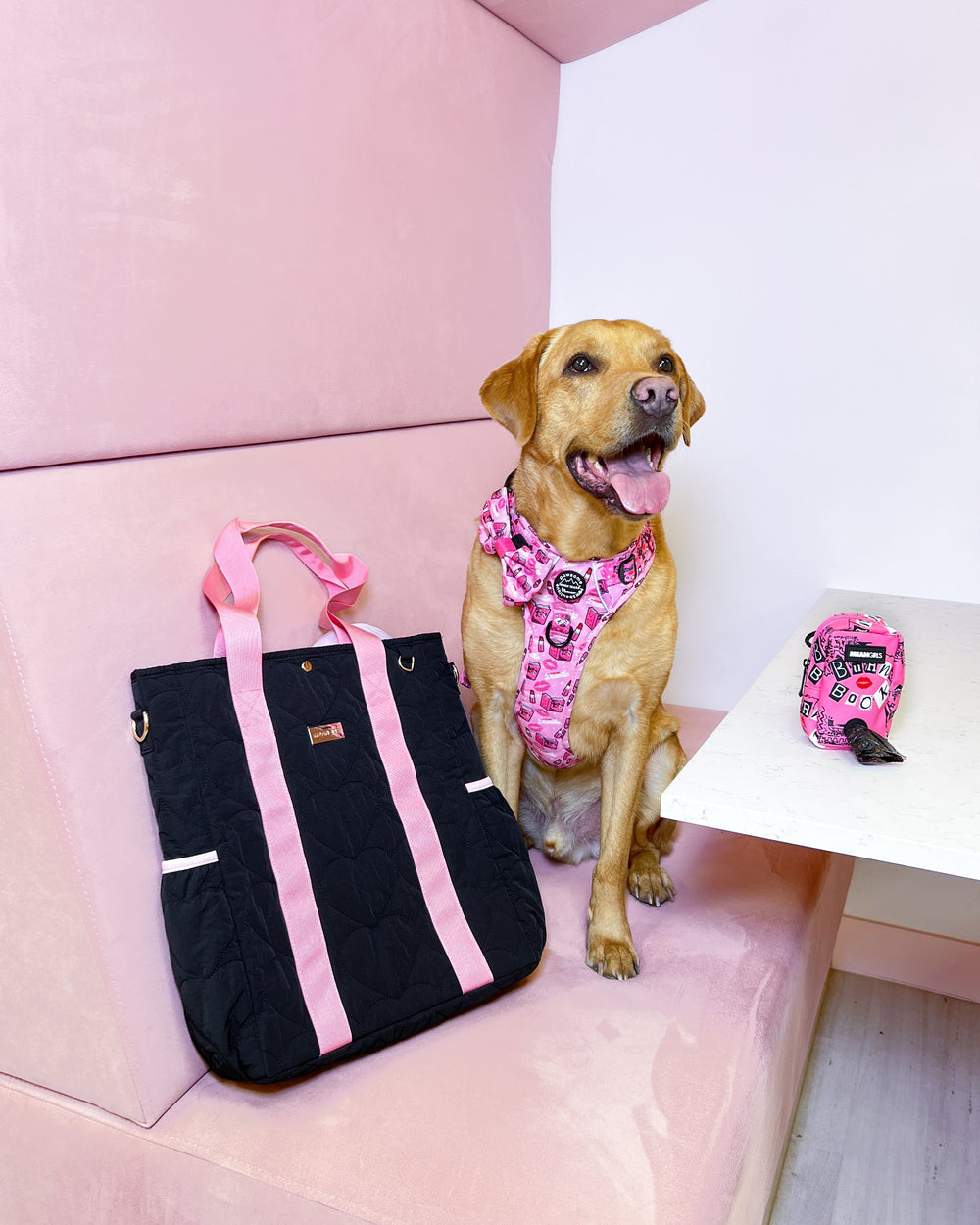 Tote Bag - Mean Girls