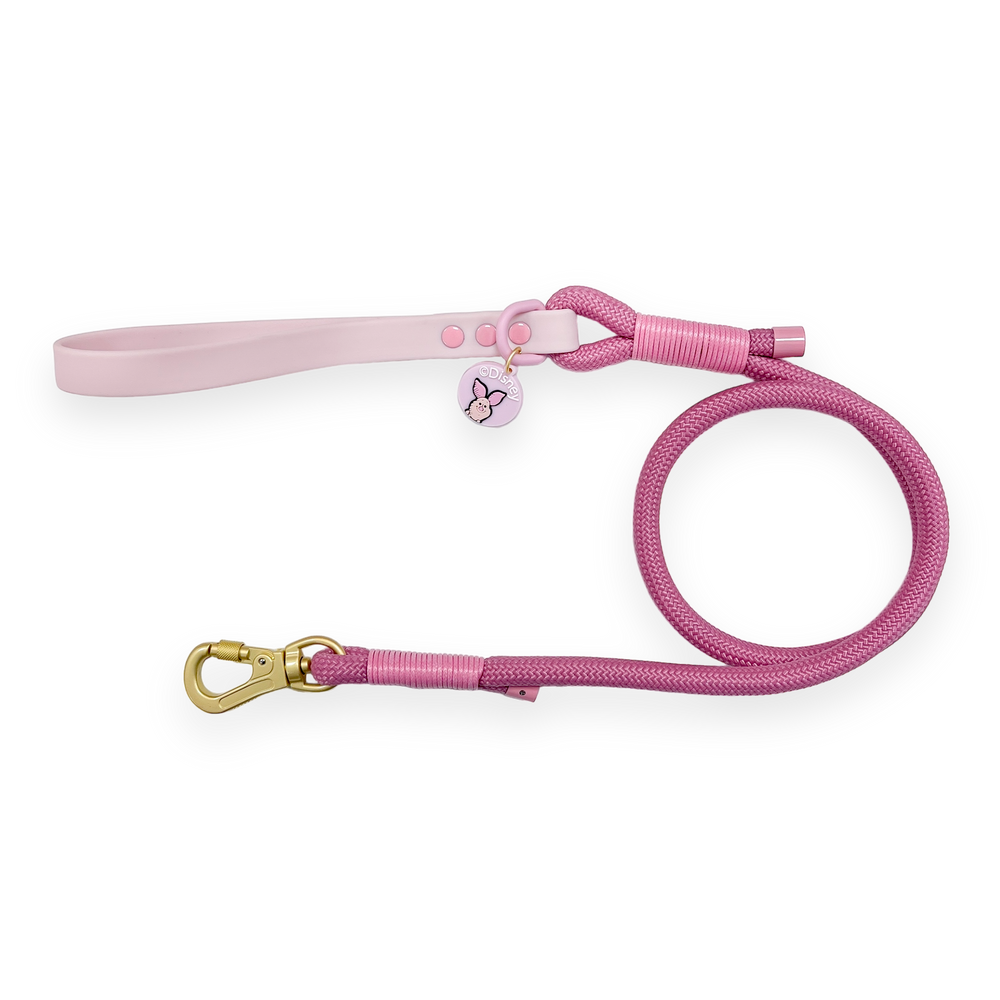 Disney© 4ft Rope Lead - Piglet - Pink