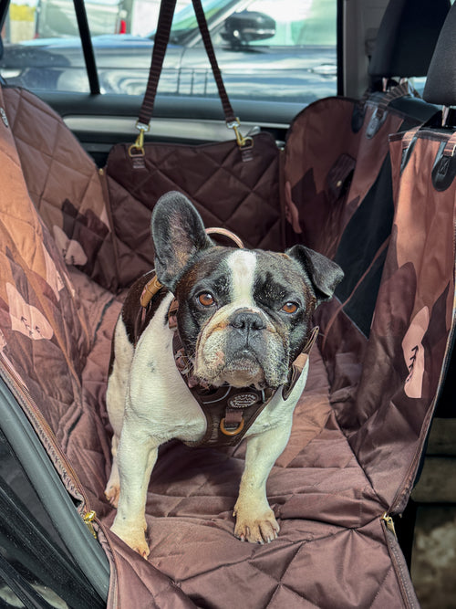 Car Seat Cover - Walkies Ready® Chocolate Brown