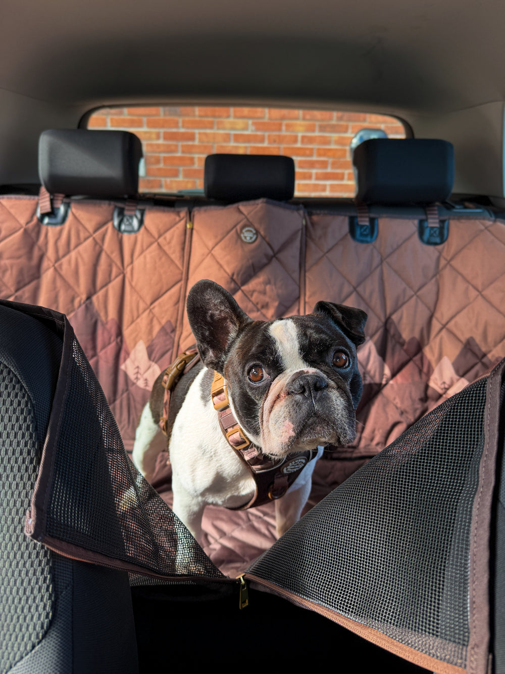 Car Seat Cover - Walkies Ready® Chocolate Brown