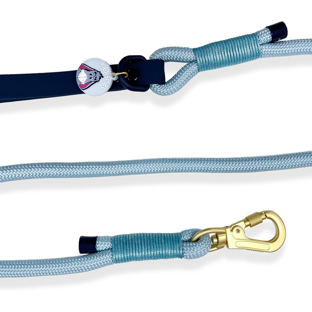 Disney© 4ft Rope Lead - Eeyore - Baby Blue and Navy