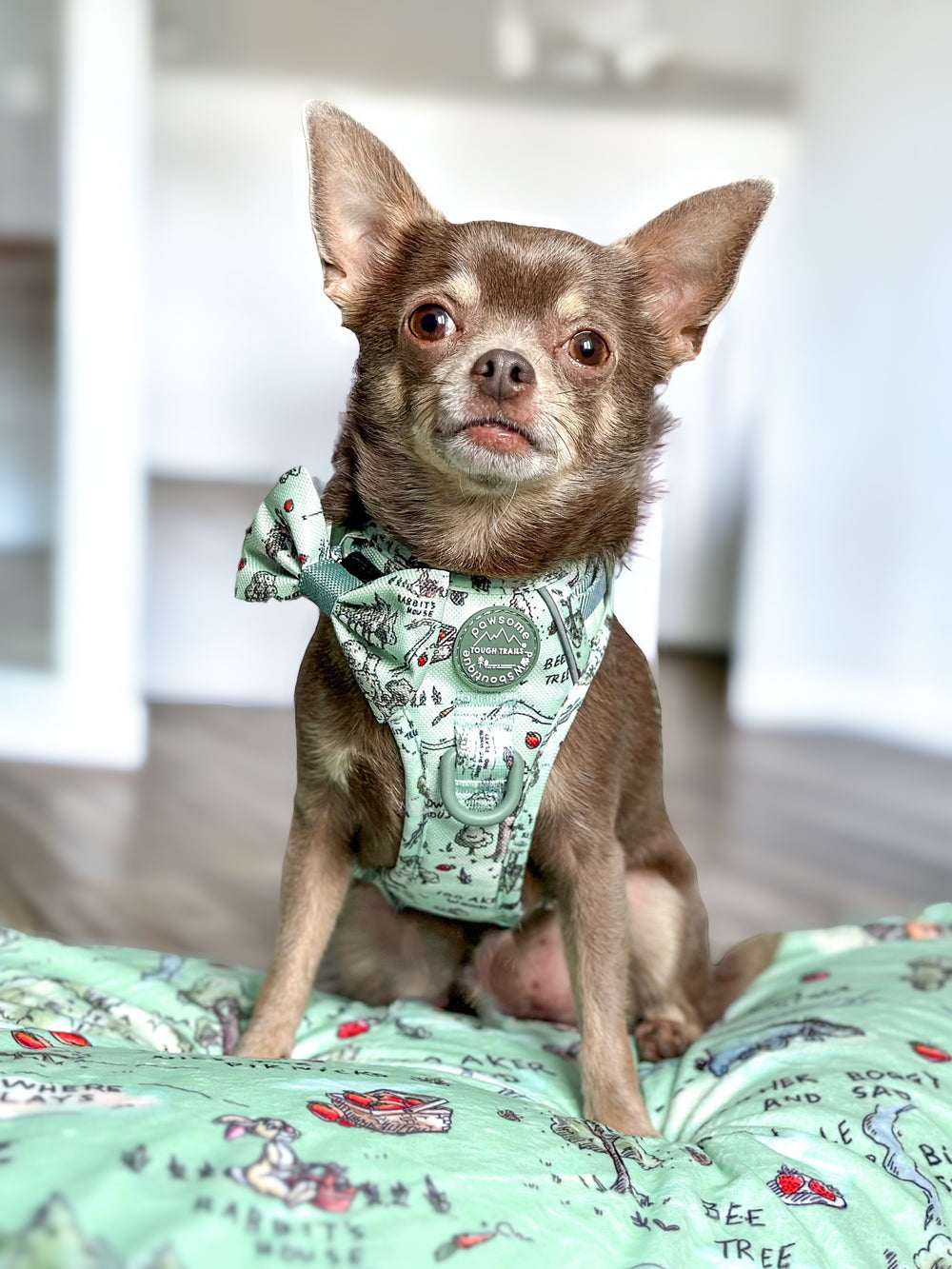 Disney© Bow Tie - 100 Aker Wood