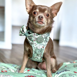 Disney© Bow Tie - 100 Aker Wood