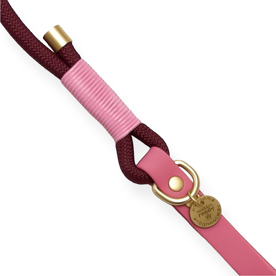 4ft Rope Lead - Mulberry